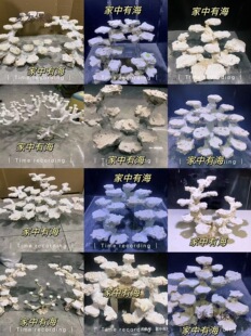 �����쾰צ��ʯ����ʯ����ʯ�ⱬ���_�׵���ˮɺ�����쾰��̫��