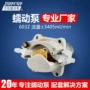 定量微型直流603z计量泵
