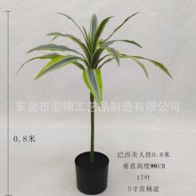 �羳��̷�������F���ԼҾ����ҿ͏d�k���Ҕ[���b����쾰����ľ
