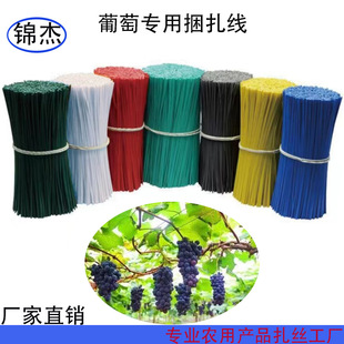 ����֦�l������\�F�z�����������z�r�aƷ��늾��������@ˇ����