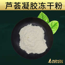 芦荟冻干粉  库拉索芦荟  林洲供应 100g/袋 芦荟凝胶冻干粉