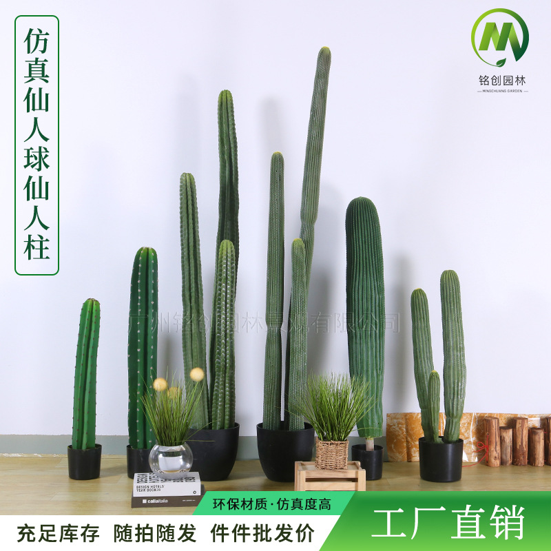Decoración de paisajismo de plantas falsas en el desierto tropical image 3
