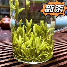 黄茶批发茶叶霍山黄芽2023新茶原产明前手工春茶清香型口粮茶批发