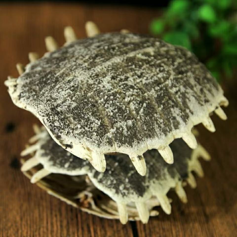Bie Jia (Trionyx sinensis) Dried Turtle Shell Pieces — Traditional Chinese Herb, 500g specifications