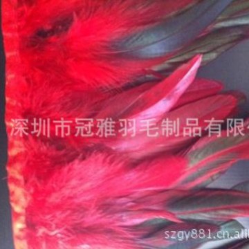 厂家直发天然羽毛布带，纯手工天然火鸡毛条高温消毒定型批发