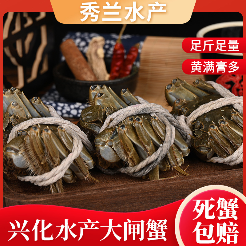 大螃蟹养殖地批发中秋礼品企业员工福利母蟹鲜活大闸蟹礼盒装包邮