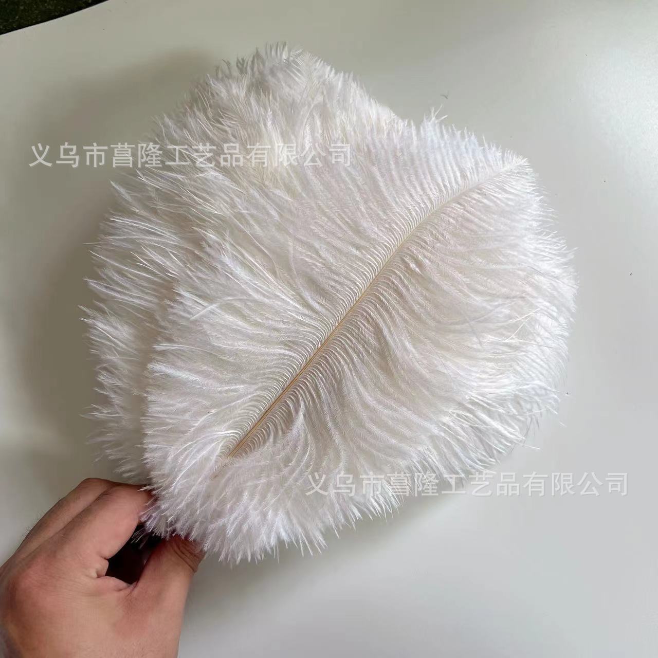 64628b0710067c31a959febcd7df8e