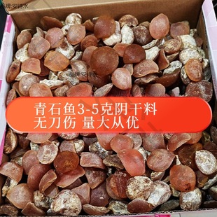 ���~�~ʯʯԭʯ �����B�˷��@�� ���M��׿ɴ� ����ă�