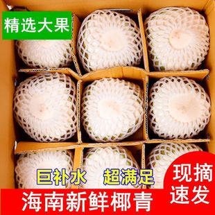 ����Ҭ�����rҬ��ˮ���ЋD�����Ĳ��Ꭷ�خaҬ֭�Fժ2/4/6/9���b