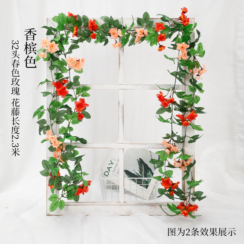 32 로즈 바인 샴페인 컬러