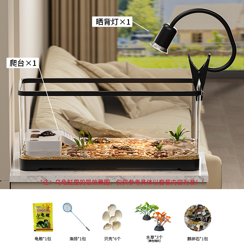 Tanque de tortuga, sala de estar para el hogar, alta transparencia, lámpara, tanque de alimentación de tortuga ecológica, escritorio de oficina, caja de peces de colores de paisajismo pequeño