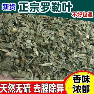 �_���~��50��ɢ�b���}��basilʳ����������ݰ�������{����؛��