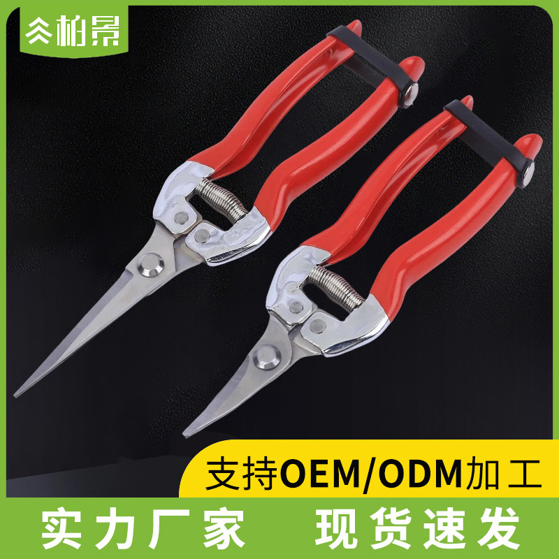Fábrica de tijeras de ramas de acero inoxidable en stock huerto recoger tijeras de ramas de árboles frutales herramientas de bonsai cortar verduras y frutas tijeras