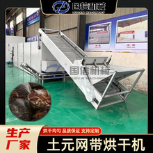 黄粉虫土鳖虫簸箕虫烘干机 面包虫黑水虻烘干机 土元网带烘干设备