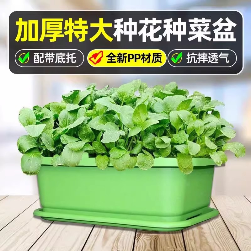 厚くて深い植木鉢、野菜栽培用の特別な箱、卸売屋内バルコニー長方形プラスチック植木鉢、家庭用野菜栽培アーティファクト|undefined