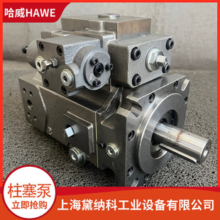 ����V30D�߉��õ�HAWE������V30D-140 LKGN-1-0-04/-1-2/125