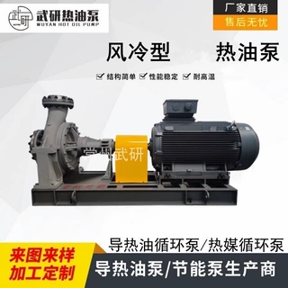 导热油循环泵185kw耐高温 离心式 风冷式 常州武进热油泵厂家武研