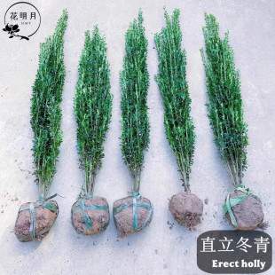 ֱ���������籱�����S���ֲ�ﳣ�G��С�~�����ͺ�ͥԺ�G�h����