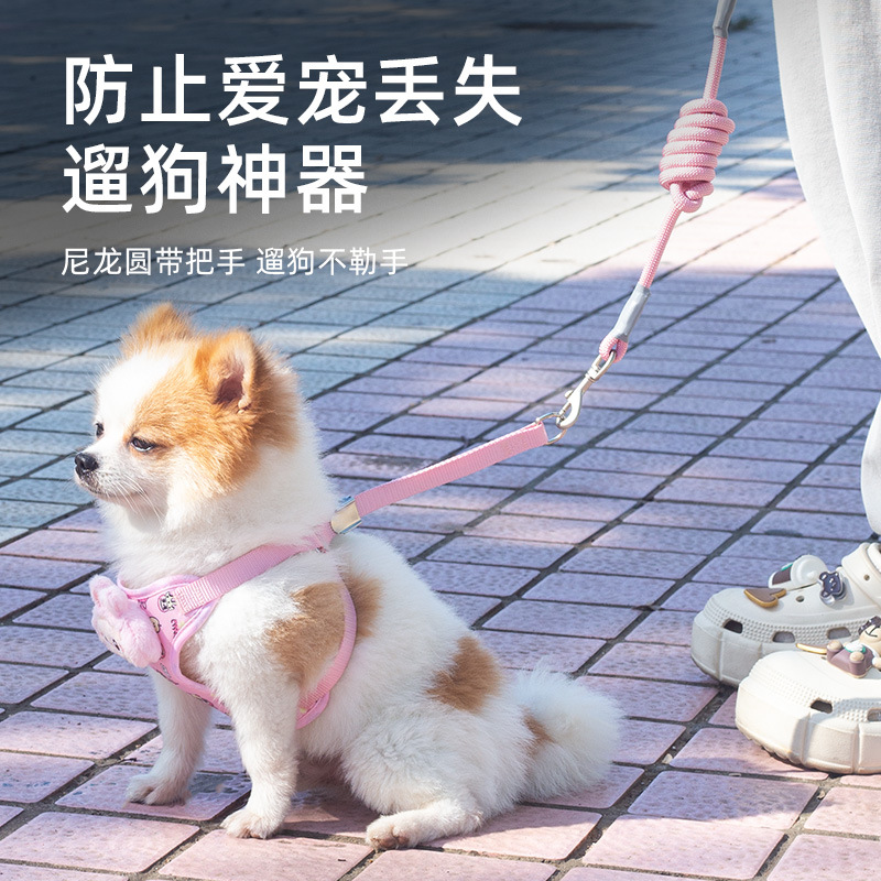 Cuerda de perro, perro paseando, gato, perro, cuerda de tracción, chaleco de perro pequeño, anti-mordedura, dibujos animados, suministros para el pecho y la espalda de mascotas lindas