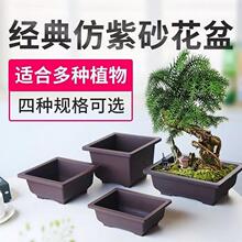 盆景花盆塑料树脂盆大小号多肉拼盘组合盆老桩种植盆紫砂色长方形