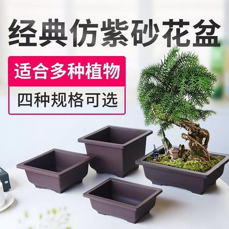 盆景花盆塑料树脂盆大小号多肉拼盘组合盆老桩种植盆紫砂色长方形