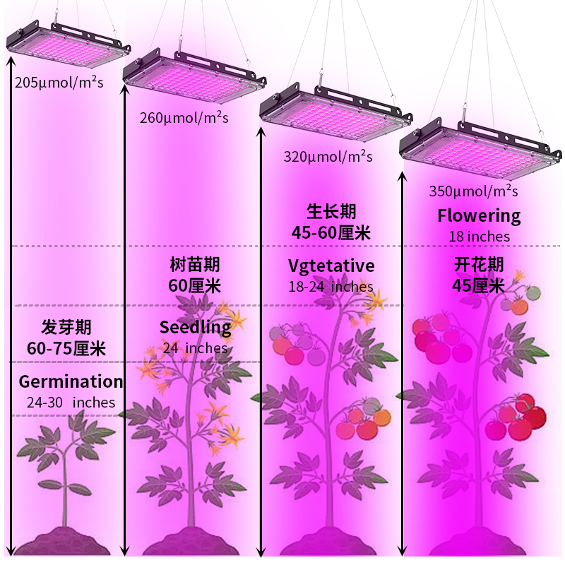 6GE6全光谱led植物补光灯多肉生长灯绿植大棚蔬菜花卉育苗仿照太