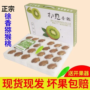 �������J��������G�īJ�������r�^��YƷ�Y�а��]