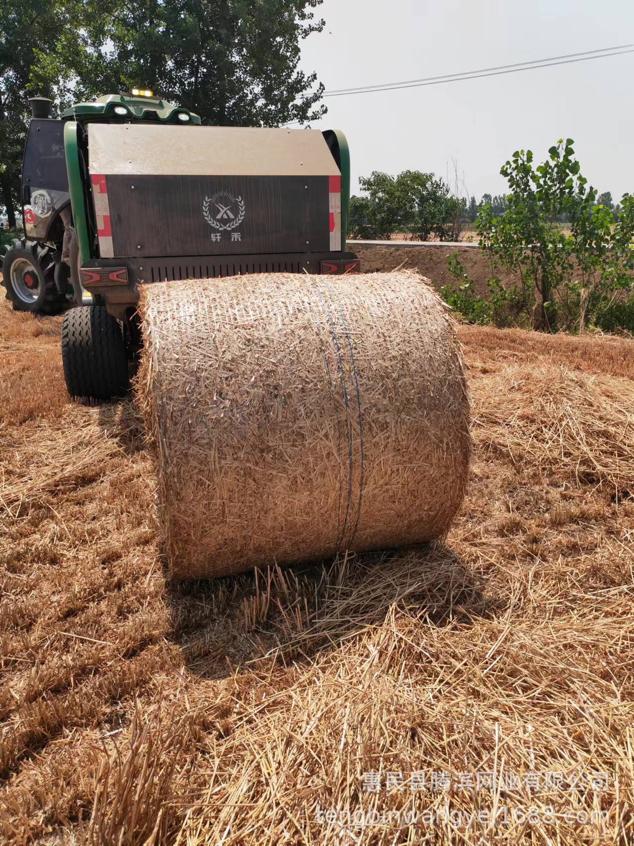 8fc870d515be4d565d937cdf80242c