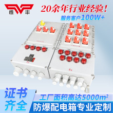 防爆配电箱检修接线箱动力仪表网络机柜柜按钮控制端子盒插座箱厂