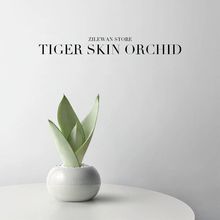 ��Ƥ�m�辰�҃ȾGֲ���ԃ����՚�͏d����[���ļ����B����ֲ��