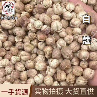 ��ޢ ��ޢ �������l�׶�ޢȫ�����ϻ�偵����u���{ζ���uˮԴ�^