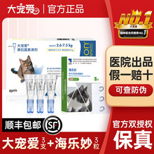 󌙐؈xș؈wһw؈؈wx