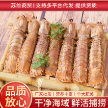 ���ƤƤ�r5��/����S���]���ƤƤ�r�����r�Ÿ��F�r�����r���}�r