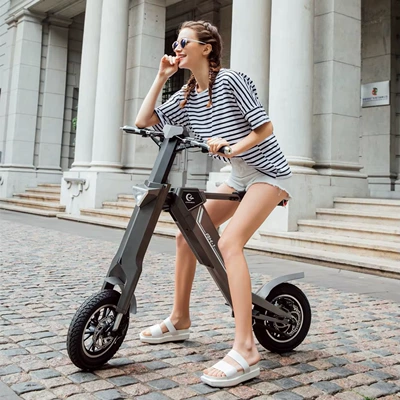 Folding E-bike, Hua En Auto Parts and Accessories