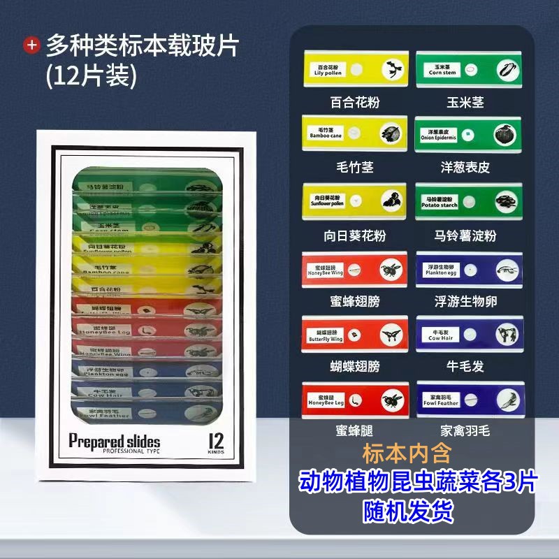 Microscopio portátil de mano para niños luz experimento de ciencia biológica niños Regalo De estudiante juguetes educativos