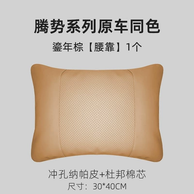 Headrest | D9/N9/N7/Z9/Z9GT Headrest Lumbar Pillow - d9-gilt-brown-lumbar-support