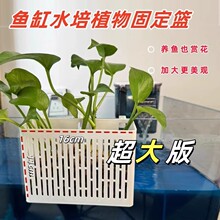 ����̶��ܶ�ֲ�쾰�b��~�X��ˮ��ֲ����ѼӴ��~�׻@ˮ��ڒ�ʽ