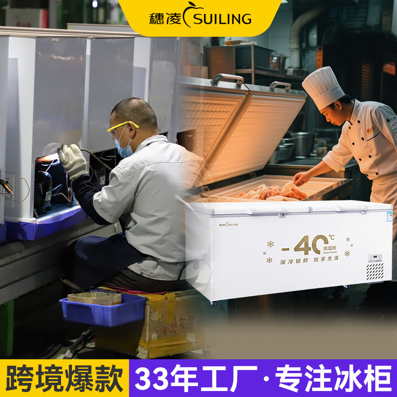 穗凌现货冰柜单温商业用可冷冻冷藏卧式冰箱源头工厂商用冷冻柜