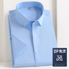 DP�������̳����ļ��������а׳���������������ʿְҵ��������