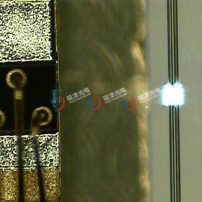 FAC Fiber Cylindrical Lens, 62.5/125, AR coating660nm