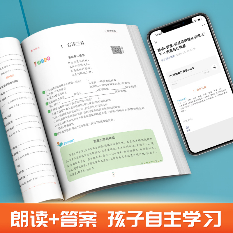 2023人教版一二三四五六年級下冊小學生語文閱讀理解強化訓練書籍