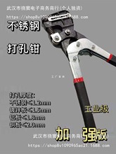 P䓰l֏VƴQͽX߅IFƤֈA_