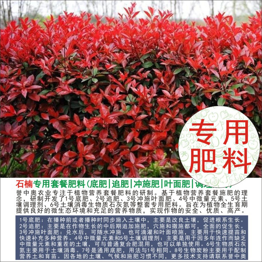 50�����а�ʯ�ר���л��ʸ��Ϸʵ׷�׷��Ҷ��ʳ�ʩ��ˮ�ܷ�