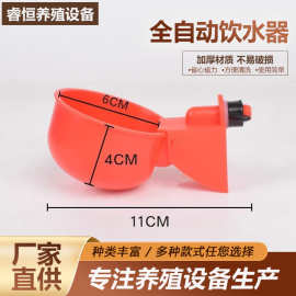 全自动鸡饮水碗家禽自动小鸡饮水器鸡水 碗鸭鹅鸽子喂水养殖设备