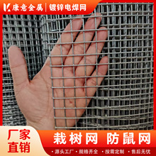 \늺W̼FzWBĨWůӹ̷ѾWƬ\FzW