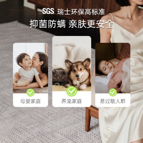 2025 nueva alfombra sala de estar alfombra de cama impermeable alfombra moderna simple alfombra de casa de lujo