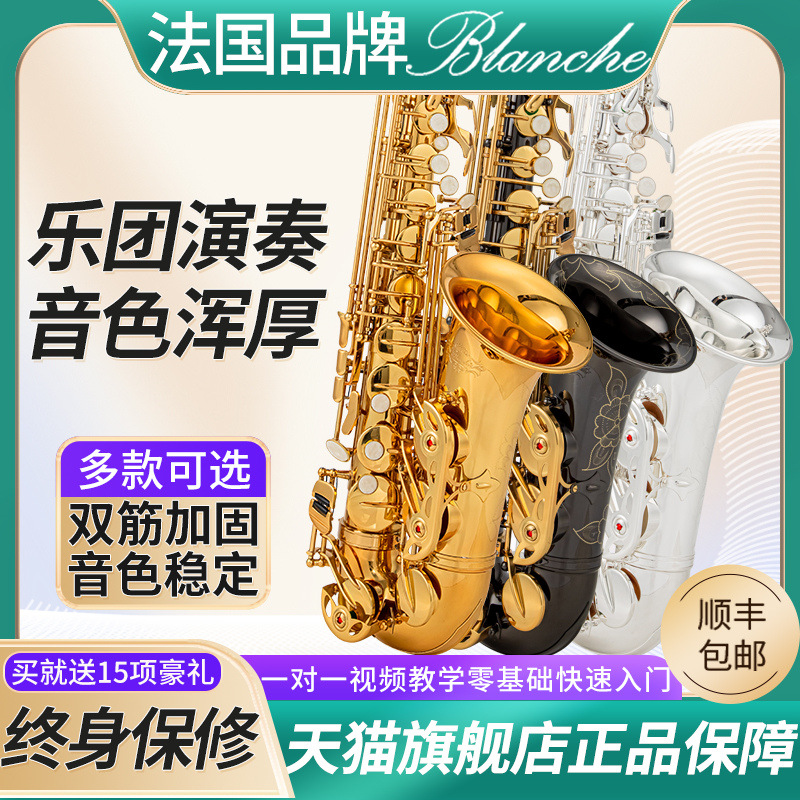 Saxophone Instrument Drop Tone Alto Saxophone Beginner Professional French Brand