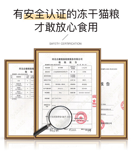 Cat food wholesale 5kg 10 catties beef flavor kitten ration nutritional hairy British short blue cat freeze-dried cat food