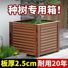 �����辰�N�����ľ�������ͥԺ�Nֲ����������ش�̖ľ����