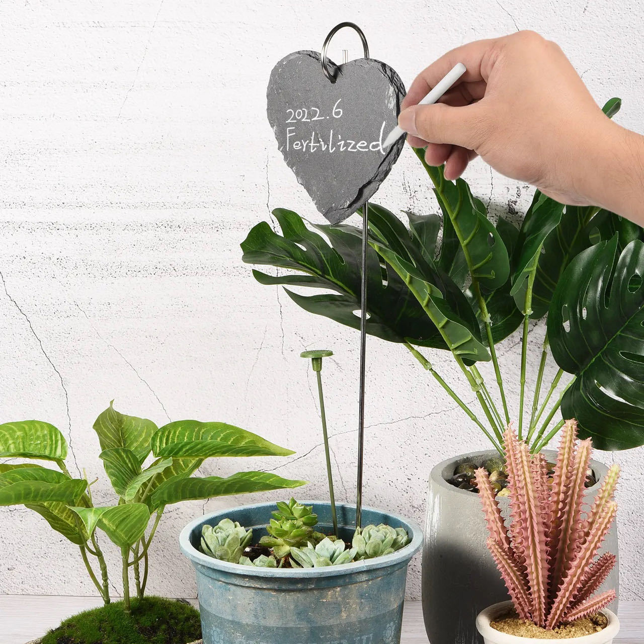 Fabricantes mayoristas etiquetas de plantas de pizarra etiquetas de flores etiquetas de árboles frutales etiquetas de acero inoxidable jardín